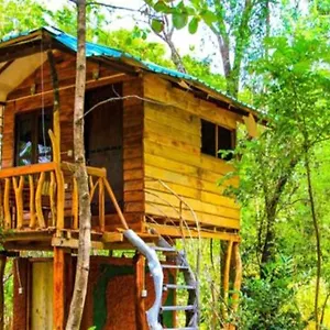 Habarana City Hostel , Habarana Sri Lanka